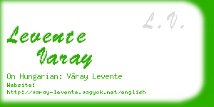 levente varay business card